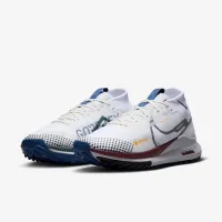 Nike Pegasus Trail 4 GORE-TEX чоловічі Waterproof Trail Running Кросівки колір білий