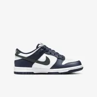Nike Dunk Low Big детские Кроссовки синий