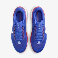 Tennessee State Pegasus 41 мужские Nike College Road Running Кроссовки синий