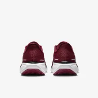 Oklahoma Pegasus 41 мужские Nike College Road Running Кроссовки цвет красный