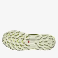 Кросівки Salomon Ultra Flow L47462500 - Чорні