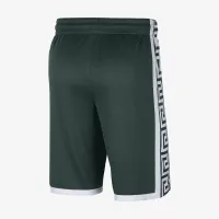 Nike College Dri-FIT (Michigan State) чоловічі баскетбольні шорти колір зелений