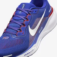 Nike Pegasus 41 NFL Buffalo Bills мужские Road Running Кроссовки синий