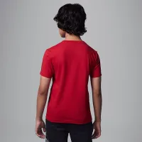 Nike Jordan Big детские Embroideцвет красный Logo футболка цвет красный