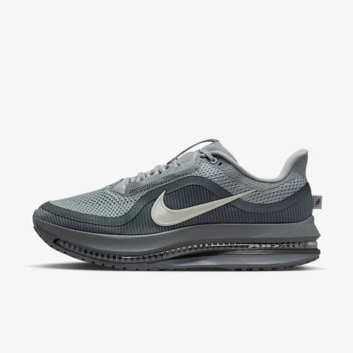 Nike Pegasus Premium мужские Road Running Кроссовки цвет серый