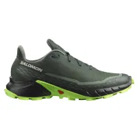 Кросівки Чоловічі SALOMON ALPHACROSS 5 (473117)