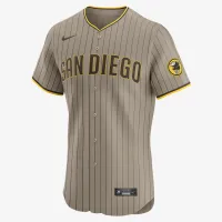 San Diego PaКостюм мужские Nike Dri-FIT ADV MLB Elite Jersey цвет коричневый