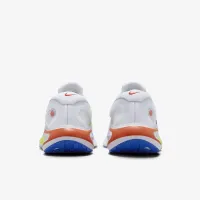 Nike Journey Run чоловічі Road Running Кросівки колір сірий