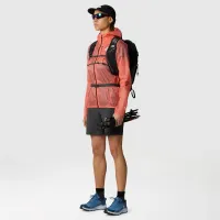 Шорты The North Face Felik 0A87HYMN81 - Серые