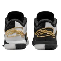 Кроссовки do баскетбол NIKE LeBron XXII Mogul (HV8454 100)