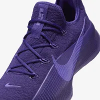 Nike LeBron TR 1 мужские для тренировок Кроссовки цвет фиолетовый