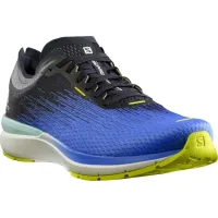 Кроссовки для бега Мужские Salomon SONIC ACCELERATE 4 (413028)