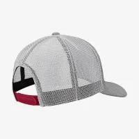 USC Classic99 Nike College Cap цвет серый
