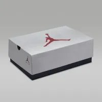 Nike Air Jordan 6 Retro 