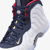 Nike Little Posite One Big детские баскетбольные Кроссовки синий