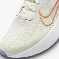 Nike Interact Run жіноча Road Running Кросівки колір сірий
