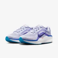 Nike Winflo 11 мужские Road Running Кроссовки цвет серый