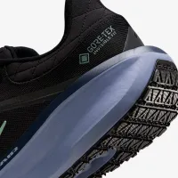 Nike Winflo 11 GORE-TEX чоловічі Waterproof Road Running Кросівки колір чорний