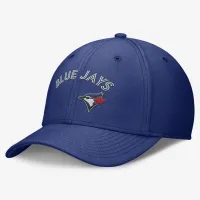 Toronto синий Jays Everцвет зеленый Swoosh мужские Nike Dri-FIT MLB Hat синий