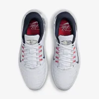 Nike Free для гольфу чоловічі для гольфу Кросівки колір сірий