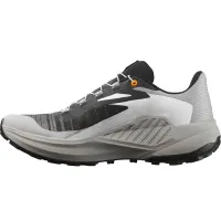 Кроссовки Мужские SALOMON GENESIS (478076)