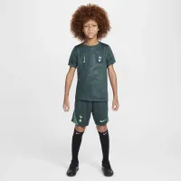 Tottenham Hotspur Academy Pro Third Big дитячі Nike Dri-FIT Soccer Pre-Match Top колір сірий