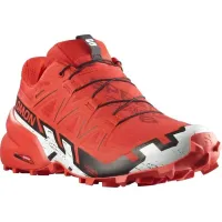 Кросівки для бігу w terenie SALOMON SPEEDCROSS 6 GTX Gore-tex (417390)