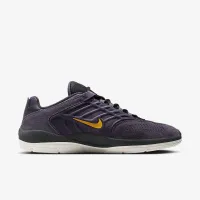 Nike SB Vertebrae чоловічі Кросівки колір фіолетовий
