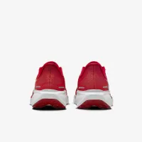 Ohio State Pegasus 41 мужские Nike College Road Running Кроссовки цвет красный