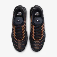 Nike Air Max Plus чоловічі Кросівки блакитний