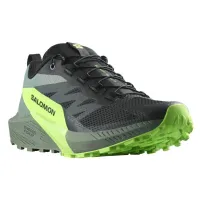Кросівки для бігу Чоловічі Salomon SENSE RIDE 5 (473111)
