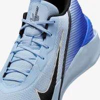 Nike G.T. Jump Academy баскетбольные Кроссовки синий