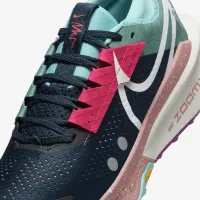Nike Zegama 2 чоловічі Trail Running Кросівки блакитний