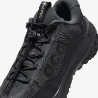 Nike ACG Mountain Fly 2 Low GORE-TEX чоловічі Кросівки колір сірий