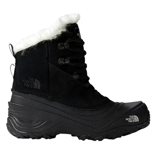 Кроссовки зимние The North Face YOUTH SHELLISTA V LACE WP (NF0A7W5XKX71)