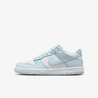 Nike Dunk Low Big детские Кроссовки цвет белый