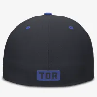 Toronto синий Jays City Connect True мужские Nike Dri-FIT MLB Fitted Hat синий