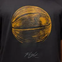 Nike Jordan мужские футболка цвет черный