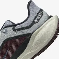 Nike Pegasus 41 GORE-TEX чоловічі Waterproof Road Running Кросівки колір сірий