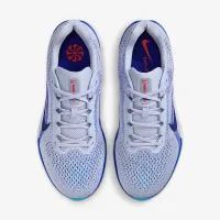 Nike Winflo 11 чоловічі Road Running Кросівки (Extra Wide) колір сірий