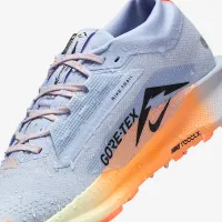 Nike Pegasus Trail 5 GORE-TEX мужские Waterproof Trail Running Кроссовки цвет серый