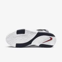 Nike Zoom LeBron 2 чоловічі Кросівки колір білий