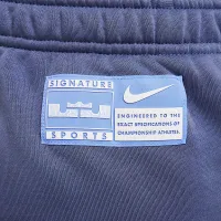 Nike LeBron Standard Issue мужские Therma-FIT баскетбольные Pants синий