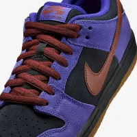 Nike SB Dunk Low Pro Skate Кроссовки цвет фиолетовый