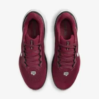 Morehouse Pegasus 41 мужские Nike College Road Running Кроссовки цвет красный
