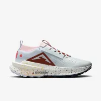 Nike Zegama 2 чоловічі Trail Running Кросівки колір сірий