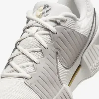 Nike GP Challenge Pro Premium мужские Hard Court Tennis Кроссовки цвет серый
