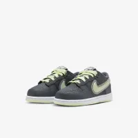 Nike Dunk Low Little детские Кроссовки цвет серый