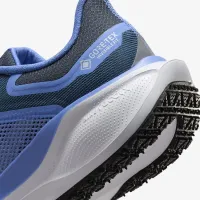 Nike Pegasus 41 GORE-TEX женская Waterproof Road Running Кроссовки синий