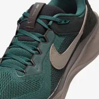 Nike Air Zoom Pegasus 41 SP чоловічі Кросівки колір сірий